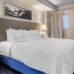 Three-Bedroom Suite